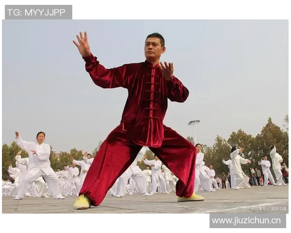 武式太极拳的独特魅力与技艺特点解析与传承探讨